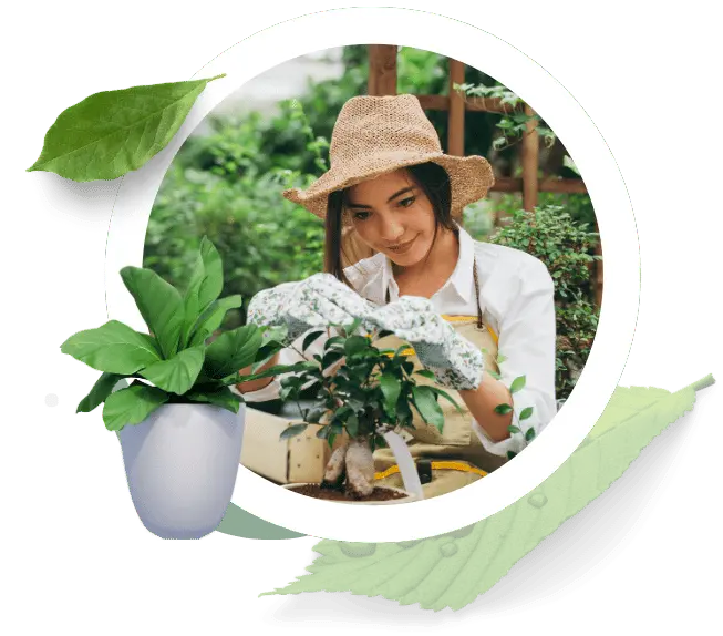 Nursery Plant Business Models and Strategies in kolkata , India